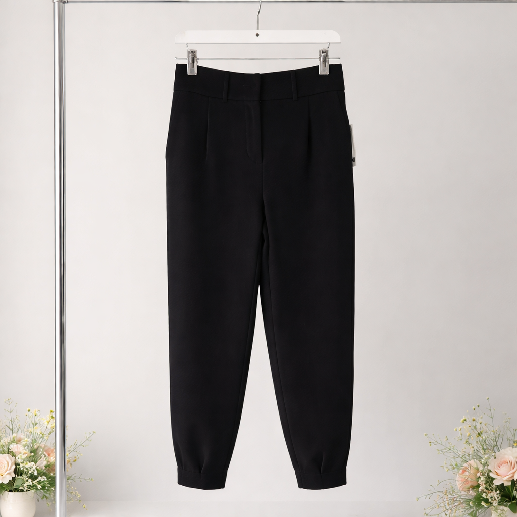 Sophisticated Bar III high-rise pleated jogger pants. Size 4