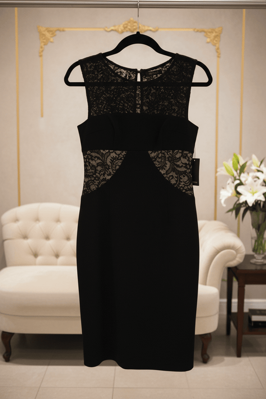 Brand New Vera Wang Elegant Black Sleeveless Sheath Dress with Intricate Lace Inserts in size 4 - All Seasons Curves