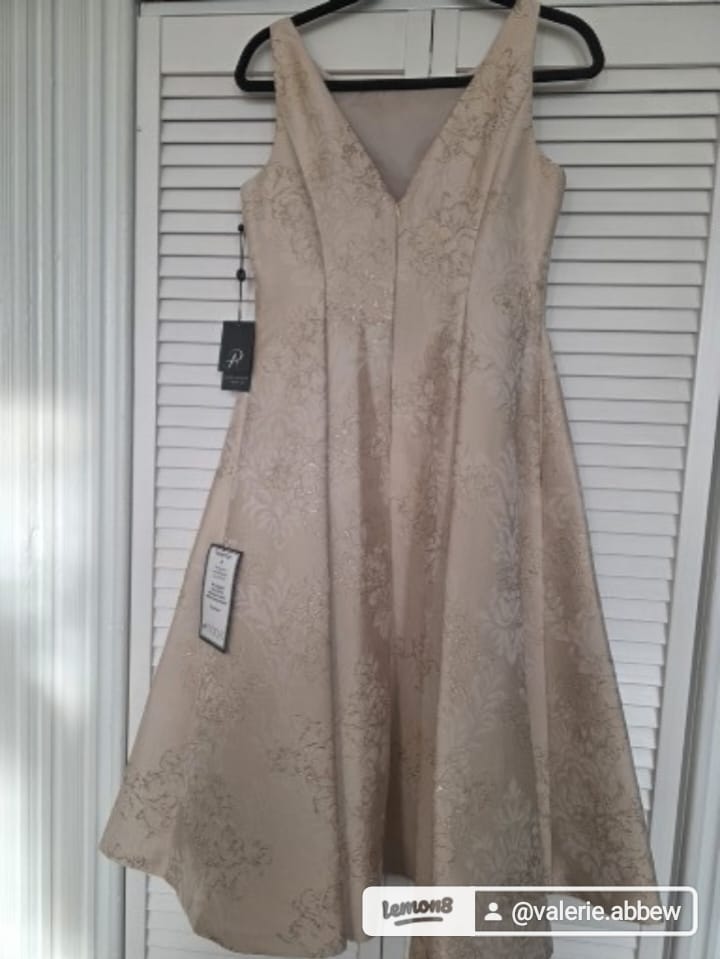 Adrianna Papell elegant and timeless - All Seasons Curves